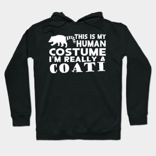 Coati costume Coati saying girl animal motif Hoodie